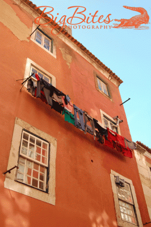 Lisbon-Laundry-1.gif