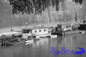 house-boats-1.gif