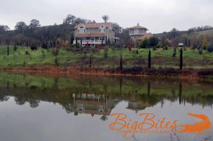 Napa-California-Reflections-in-Pond.jpg