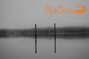 Two-poles-and-a-bird-b-and-w-water-Big-Bites-Photography.jpg