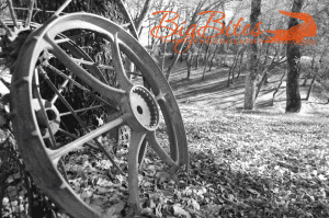 wheel-and-leaves-black-and-.gif