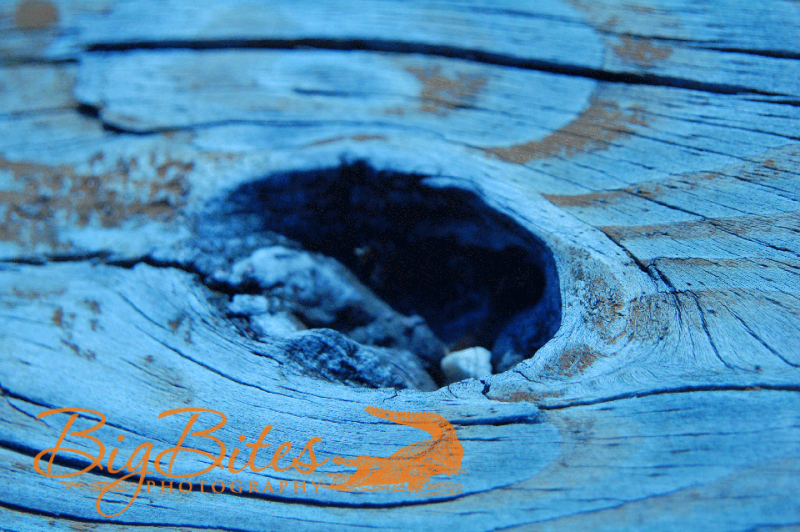 Blue-Wood-with-Knot