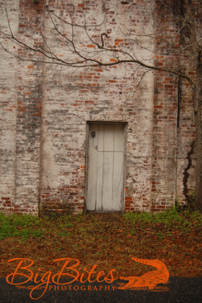 Micanopy-Door