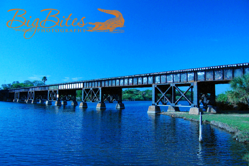 More-Love-Graffiti-Bridge-in-Florida