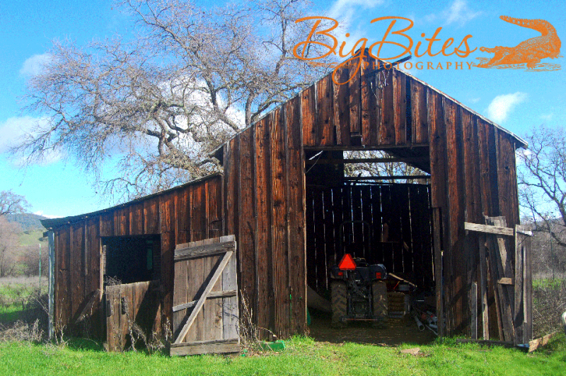 Napa-California-Old-Barn-and-Tractor-Big-Bites-Photography
