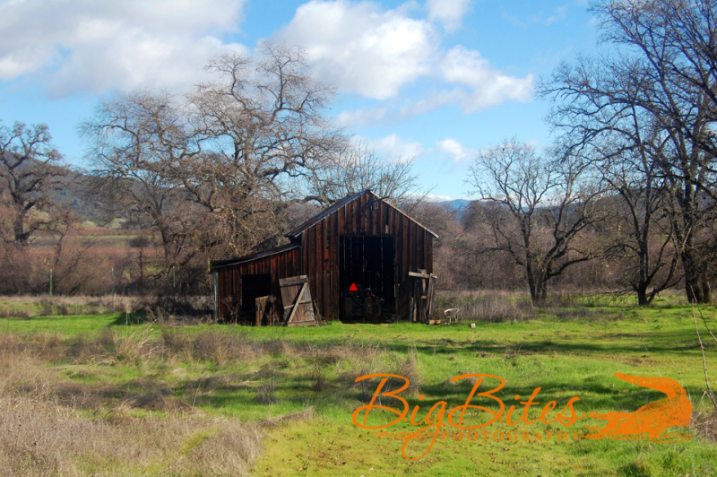 Napa-California-Old-Barn-and-field-Big-Bites-Photography