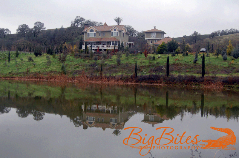 Napa-California-Reflections-in-Pond
