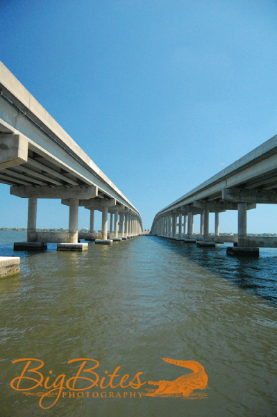 Two-Florida-Bridges-and-Water