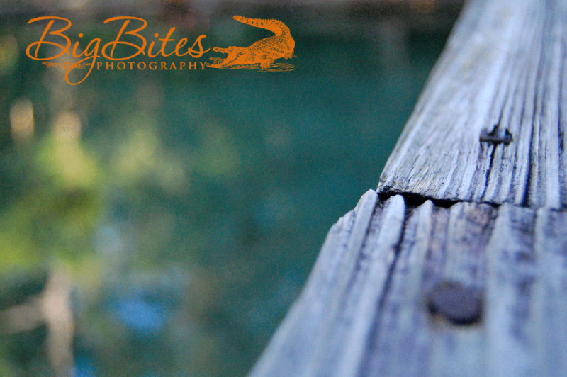 Wood-Nails-and-water-Big-Bites-Photography