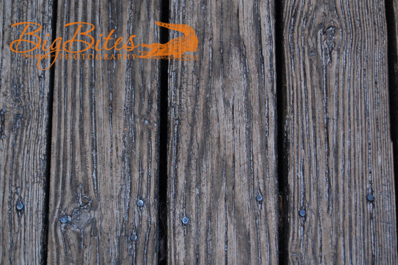Wood-planks-Big-Bites-Photography