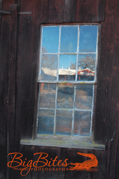 window