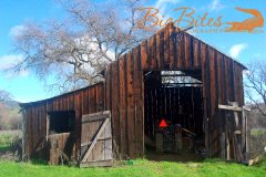 Napa-California-Old-Barn-and-Tractor-Big-Bites-Photography