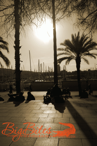 Barcelona-crowd