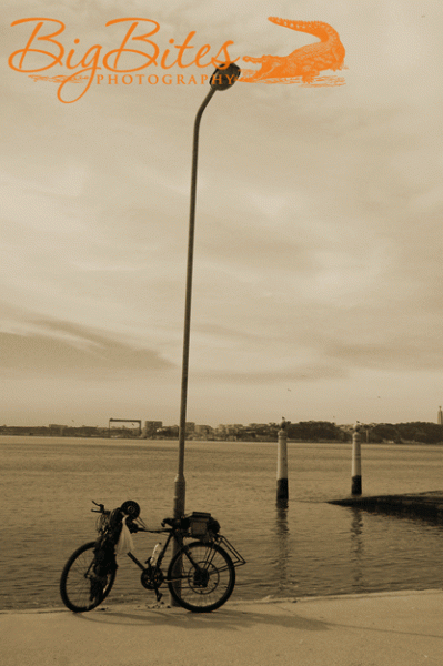 Bicycle-and-Water-and-Birds
