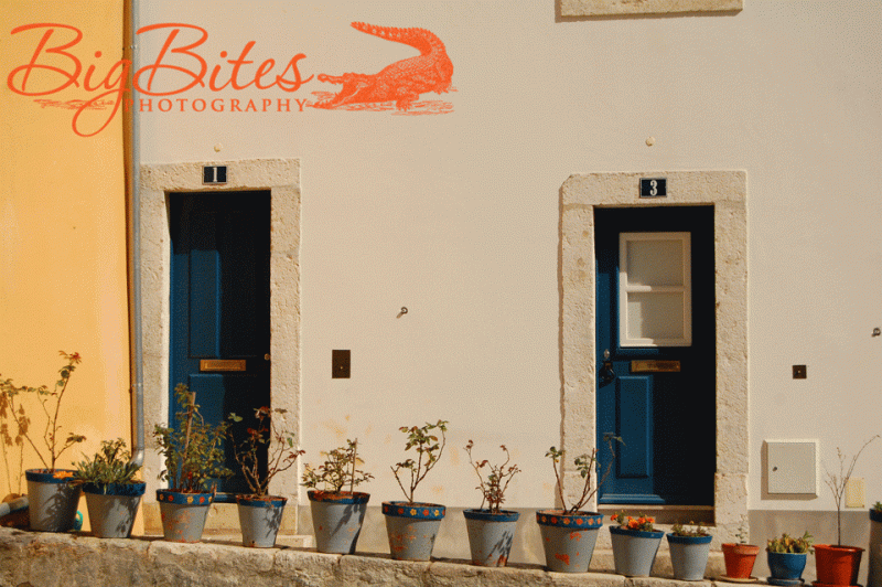 Doors-and-Pots-Lisbon