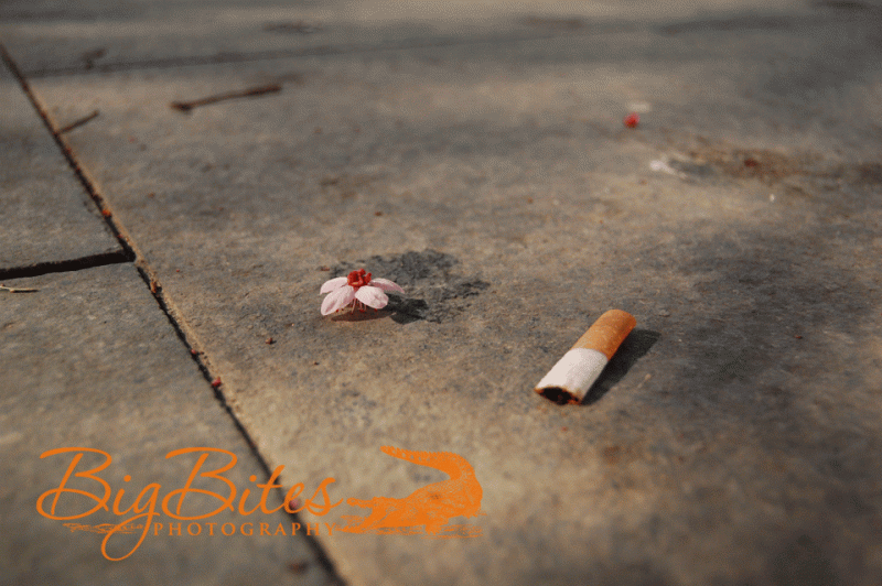 Flower-and-Cigarette
