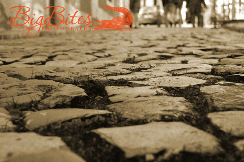 Growing-through-the-Cracks