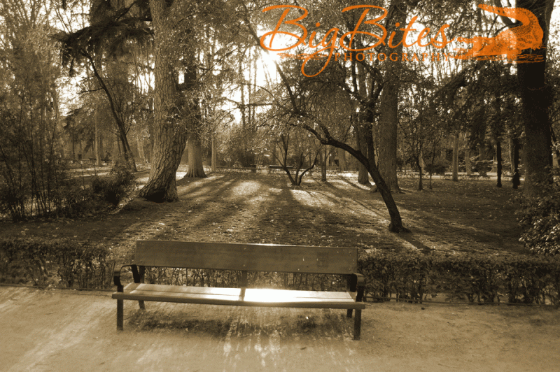 bench