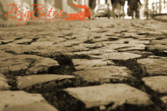 Growing-through-the-Cracks