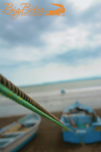 DSC_4029