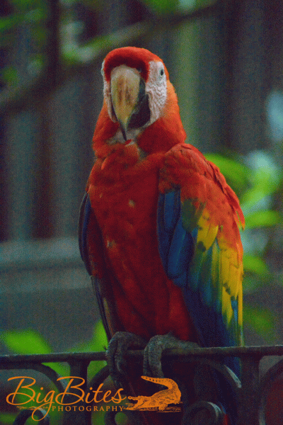 DSC_4135