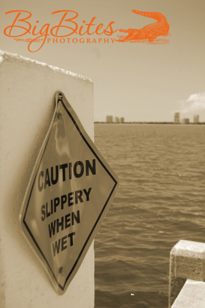 Bayshore-18
