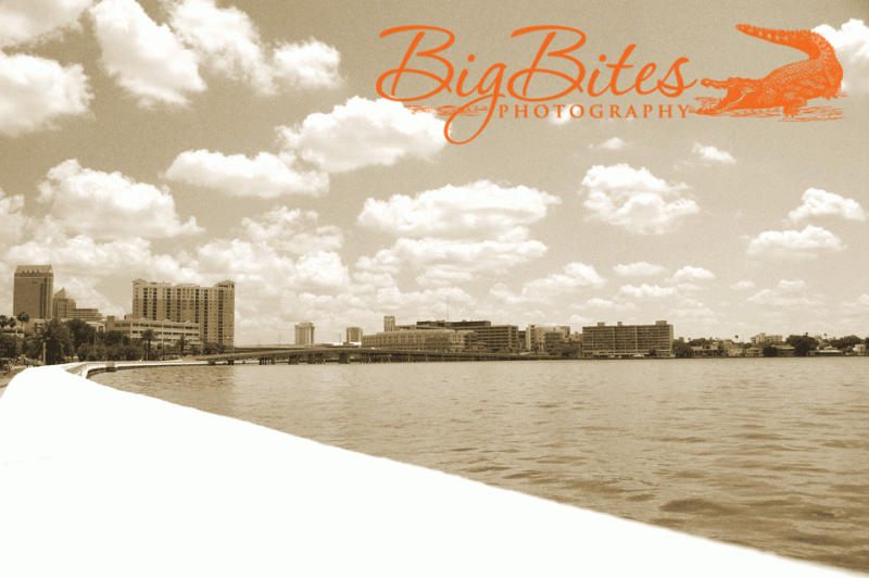 Bayshore-2