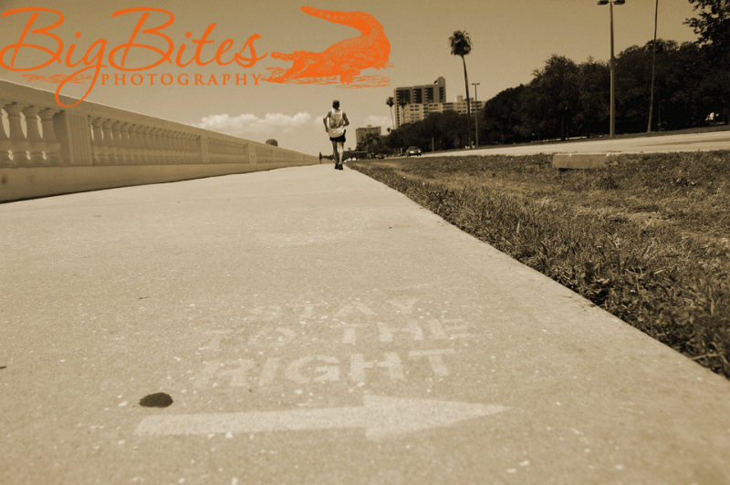 Bayshore-22