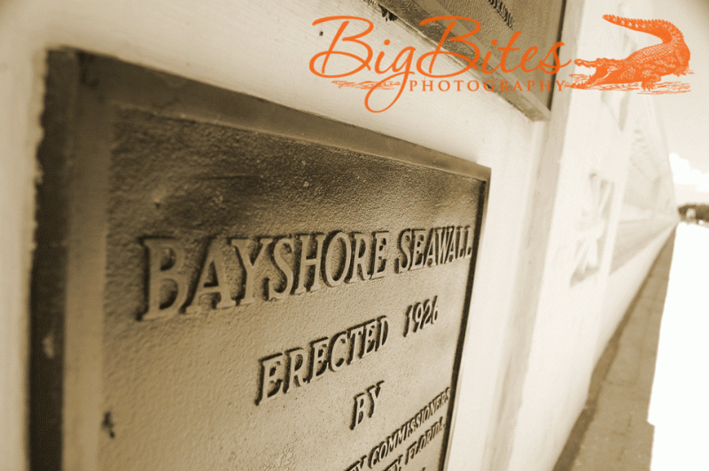 Bayshore-26