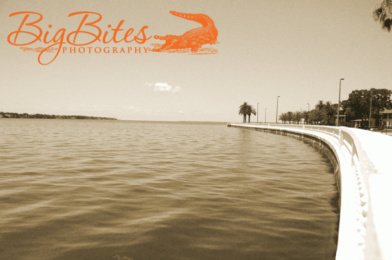 Bayshore-3