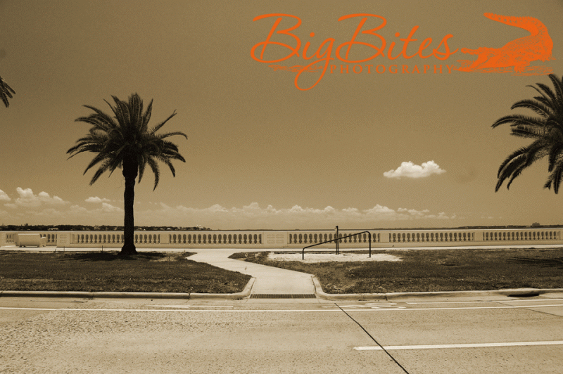 Bayshore-32
