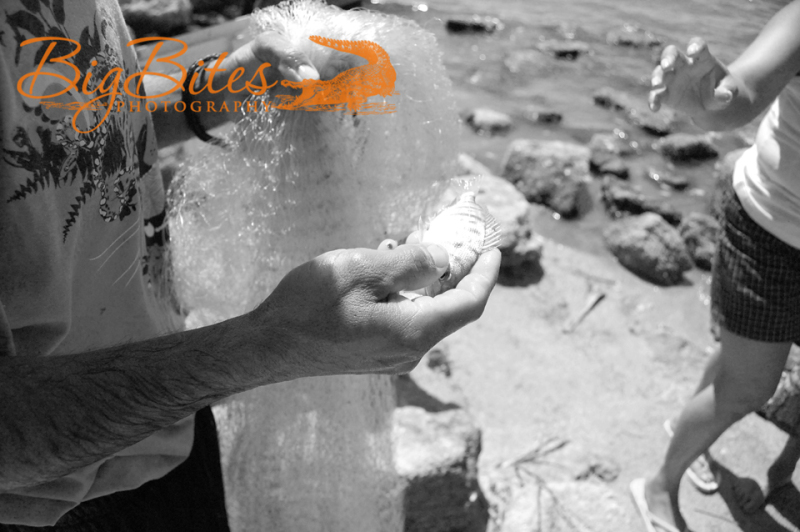 A-snack-b-and-w