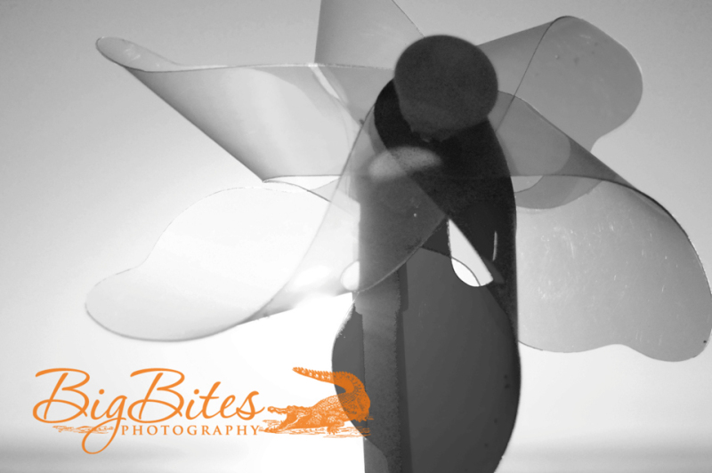 Another-SunCatcher-b-and-w-Florida-Big-Bites-Photography