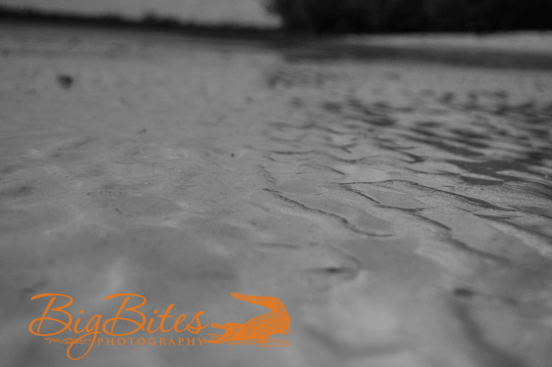 Bahamian-Sand-1-b-and-w