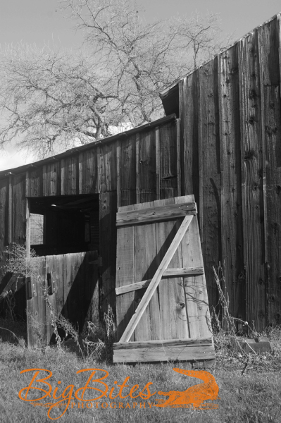 Barn-Door-Far-b-and-w-Napa-California-Big-Bites-Photography