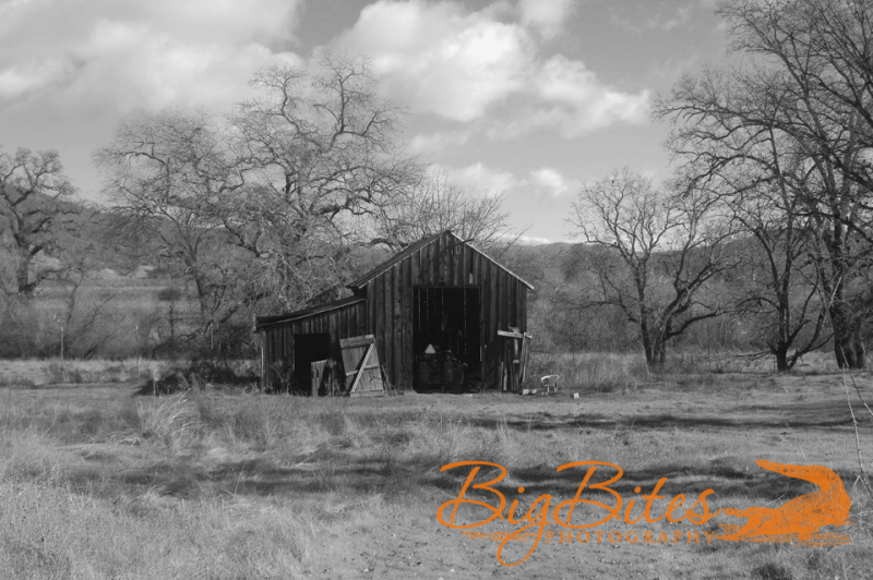 Barn-Far-b-and-w-Napa-California-Big-Bites-Photography
