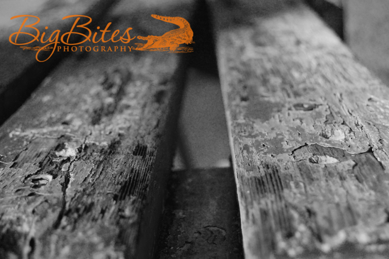 Blue-Bench-b-and-w