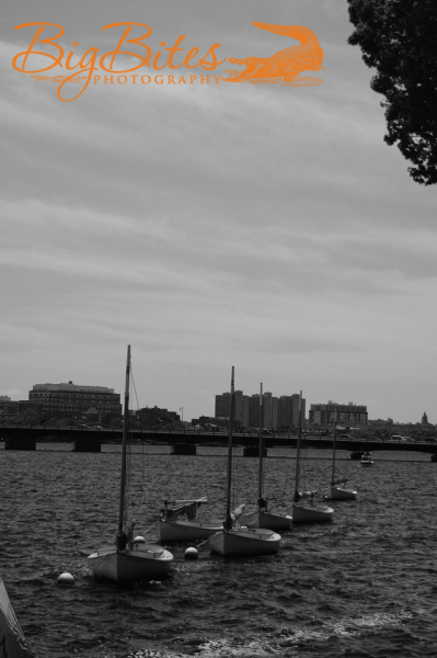 Boston-Boats-All-in-Line-b-