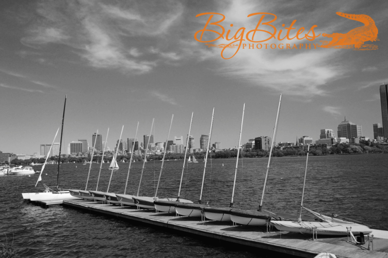 Boston-Boats-b-and-w