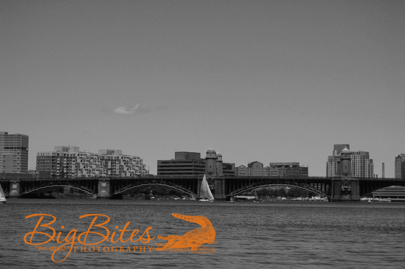 Boston-b-and-w-Big-Bites-Photography