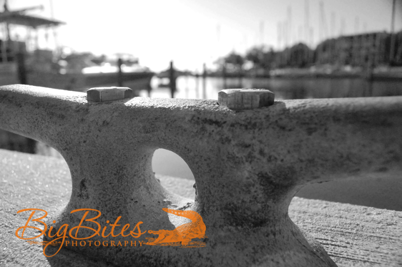 Concrete-and-Boats-b-and-w-Florida-Big-Bites-Photography
