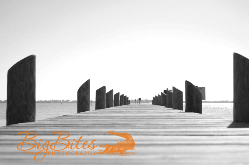 Dock-9-b-and-w-Florida-Big-Bites-Photography