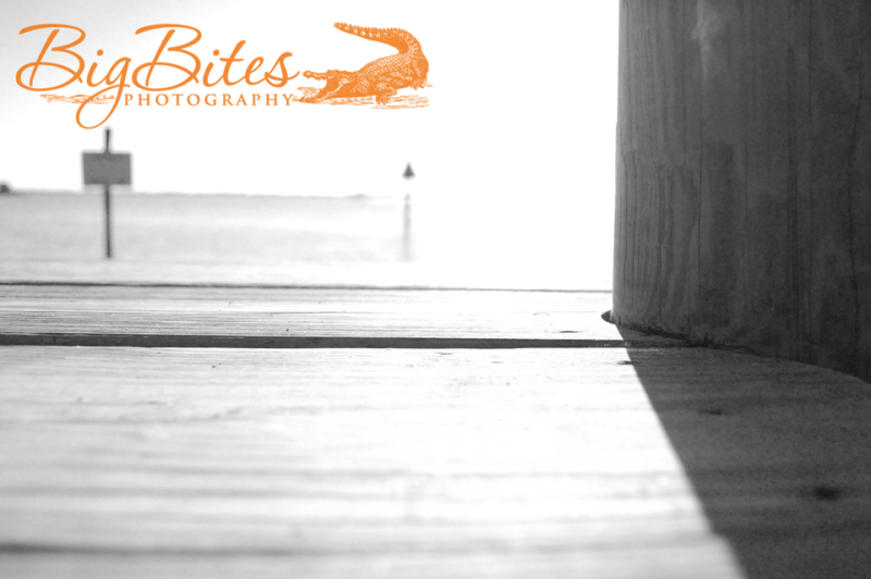 Dock-Blown-Out-1-b-and-w