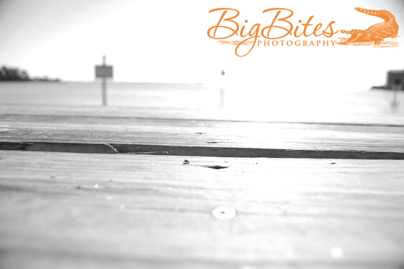 Dock-Blown-Out-b-and-w