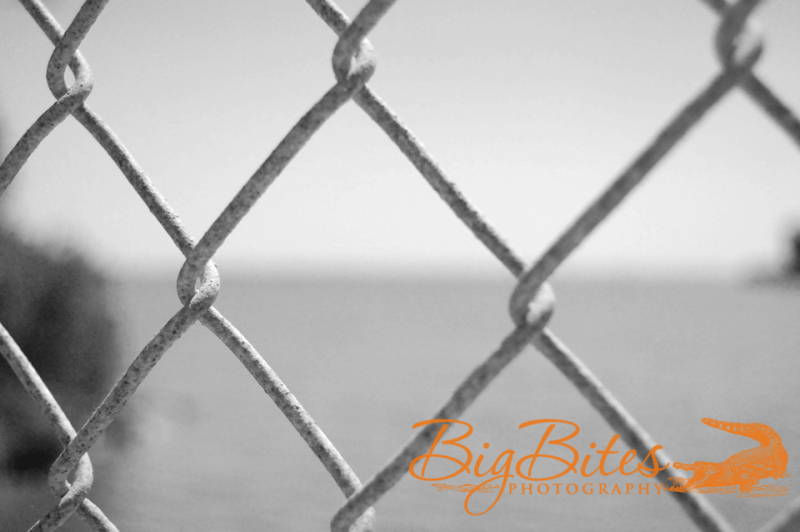Fence-and-Water-b-and-w