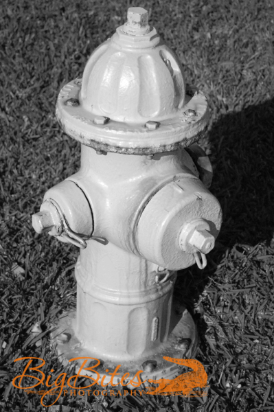 Fire-Hydrant-b-and-w