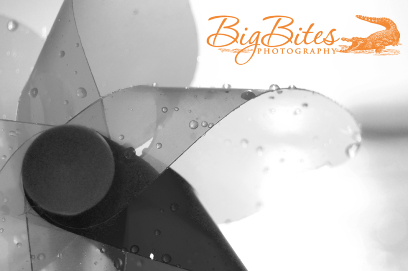 Half-of-a-wet-pinwheel-b-and-w-Big-Bites-Photography