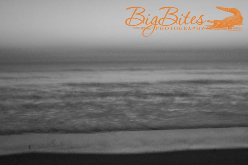 Hazey-Horizontal-b-and-w-Florida-Beach-Big-Bites-Photography