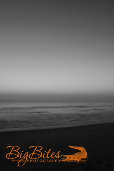 Hazey-Vertical-b-and-w-Florida-Beach-Big-Bites-Photography