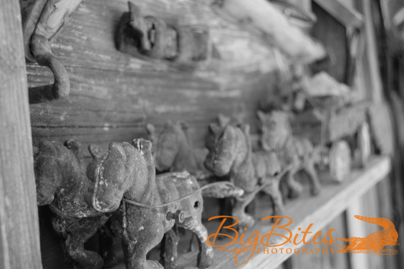 Horses-1-b-and-w-Colorado-Big-Bites-Photography